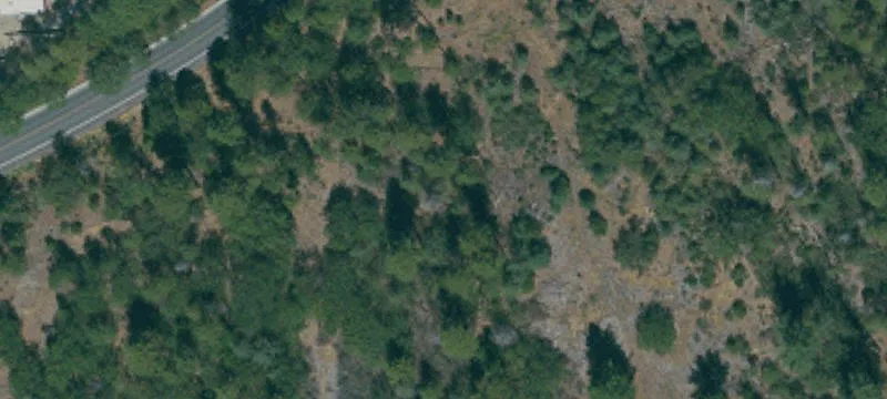 Specialty Properties Half-Acre Lot