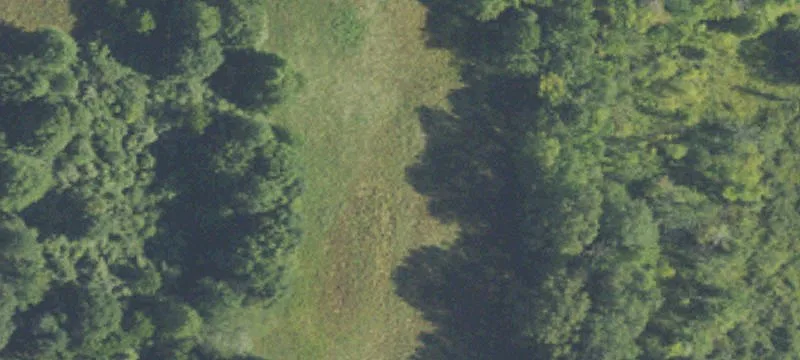 Hunting Land with Lake Frontage