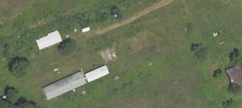 Fifty-five Acre Horse Estate