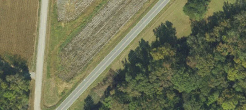 Wooded Residential Land Parcel