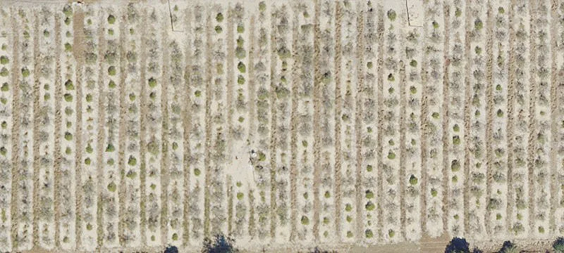 Agricultural Land at Major Highway Intersection