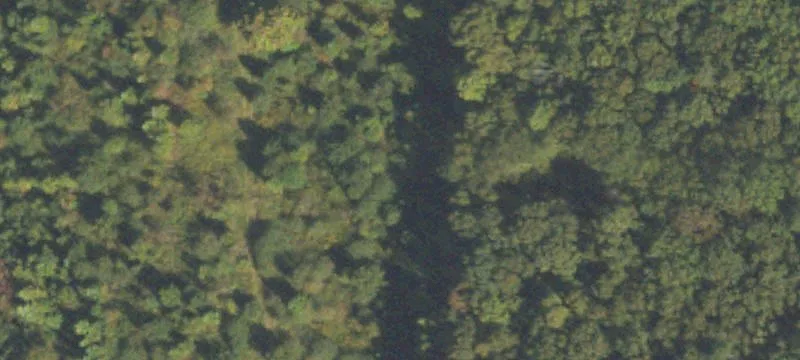 Hunting Land with Year-Round Creek