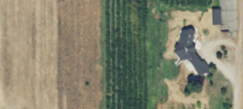 Land