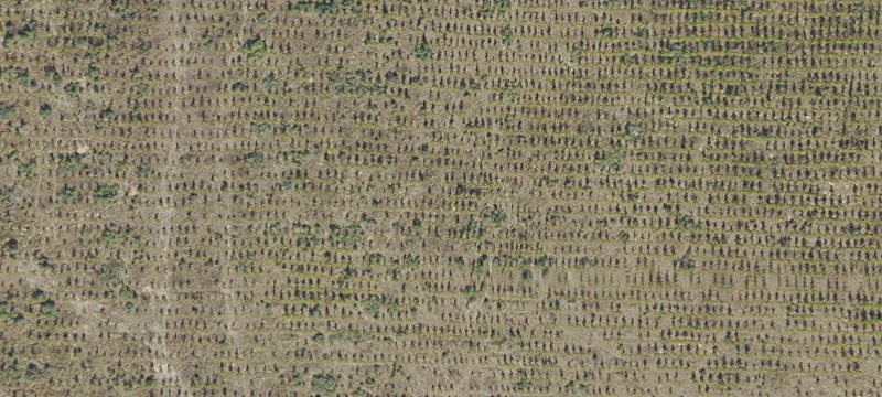 Vacant Residential Land Lot