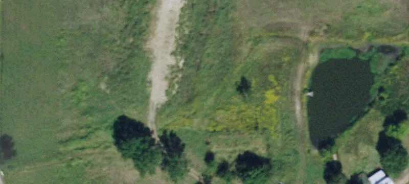Land