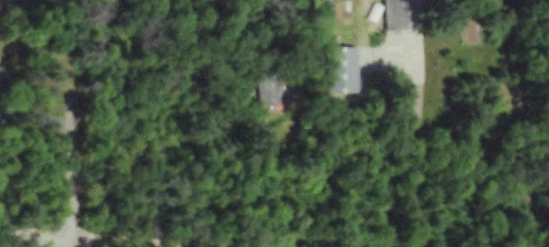 Wooded Hunting Land with Electric Shed