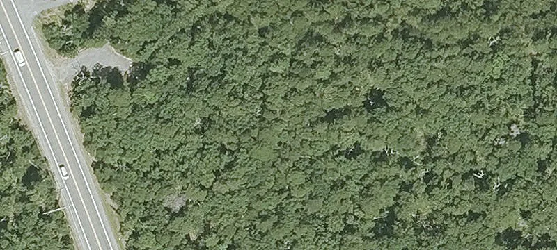 Land