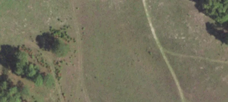 Farm