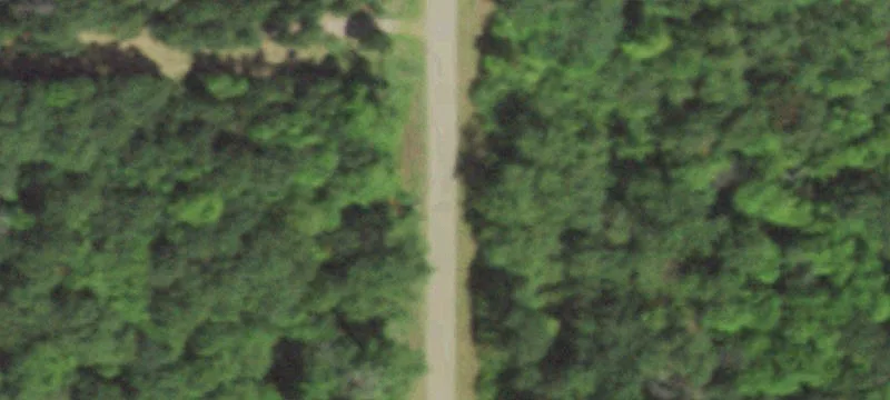 Wooded Recreation Land for Cabin Site