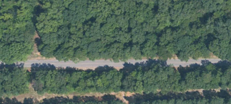 1767 Hester Rd, Mathiston, MS 39752