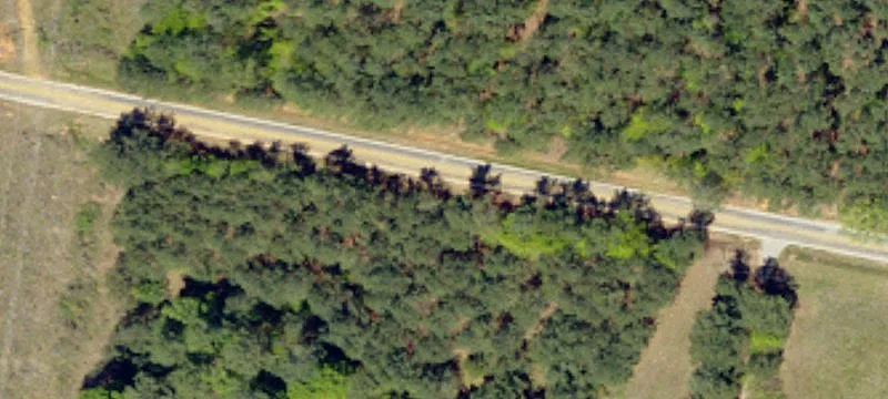 Agricultural Land with Road Frontage