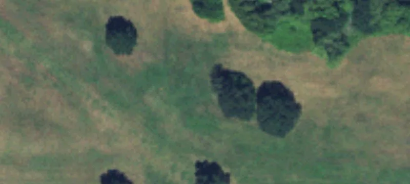 Regional Center (RC) Development Land