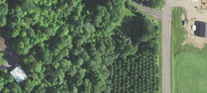 Land