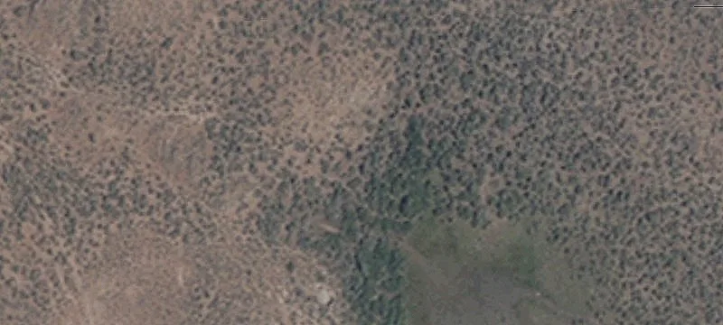 Hunting Land with Water Rights