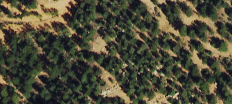 Land