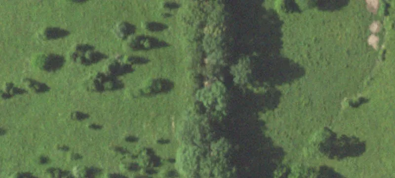 Agricultural Farmland