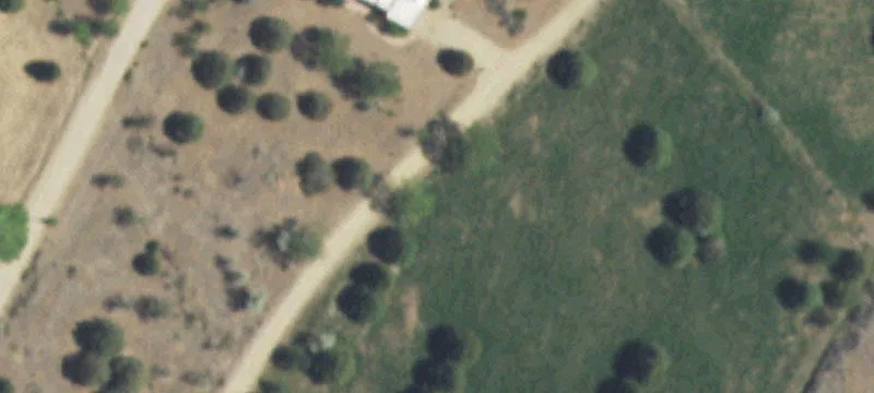 Agricultural Land Parcel with Partial Fencing
