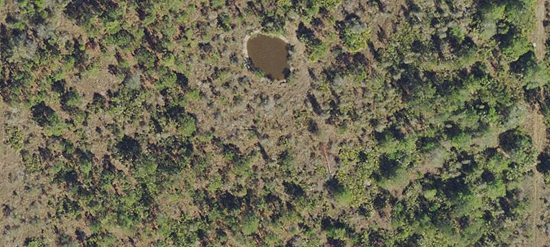 Fully Fenced Agricultural Land