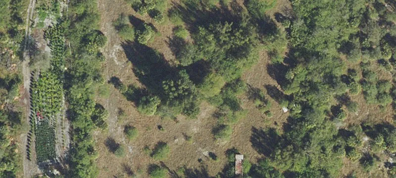 Land