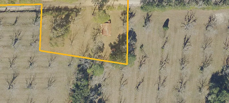 Agricultural Land with Pecan Grove