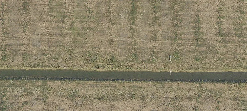 Agricultural Land Parcel