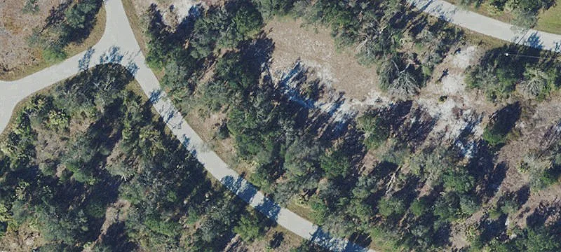 Land or Vacant Lot