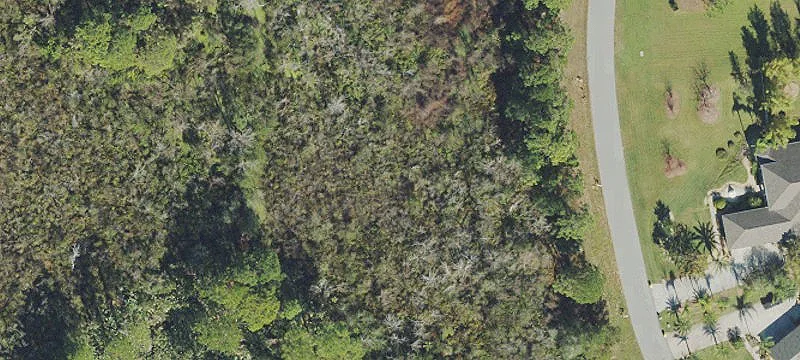 Land