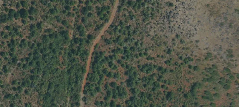 Horse Property With Seasonal Creek
