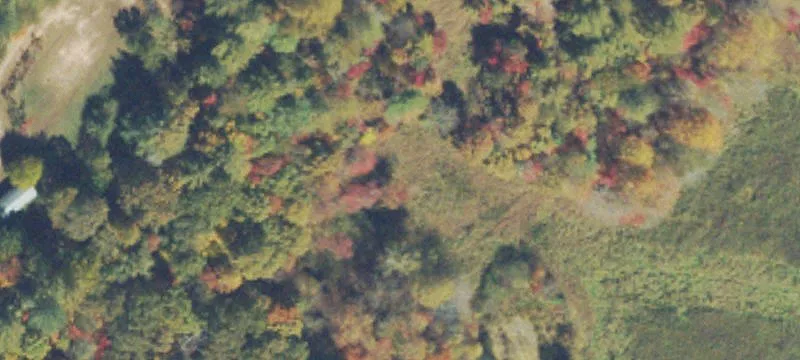 Unimproved Land