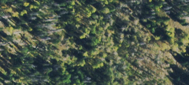 Hunting Land with Mountain Views