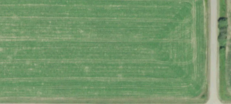 Vacant Agricultural Land with Cropland