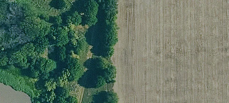 Farm with Fishing Lake and Tillable Ground