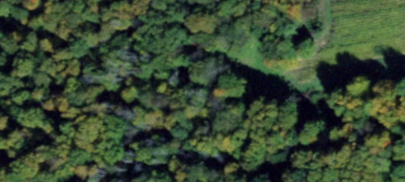 Hunting Land