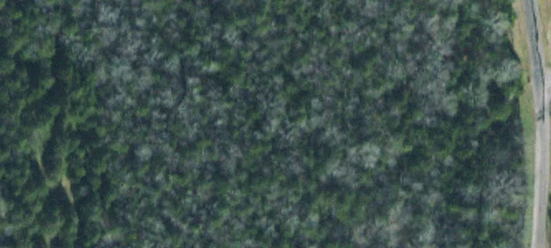 47-Acre Farmland with Road Frontage