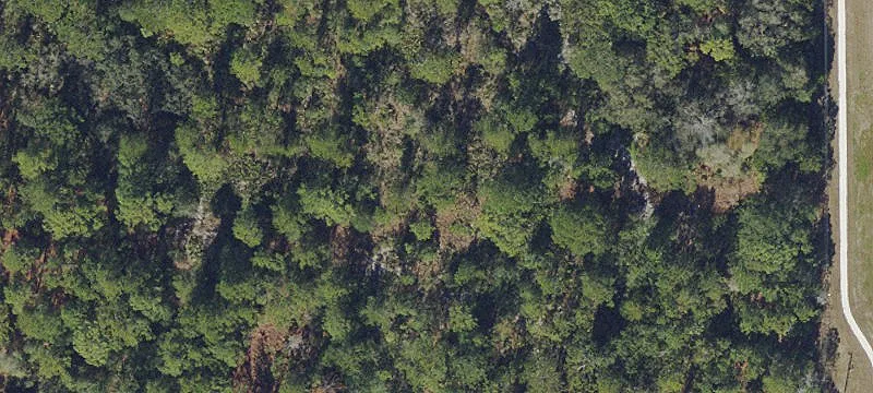Commercial Land Multi-Use Site