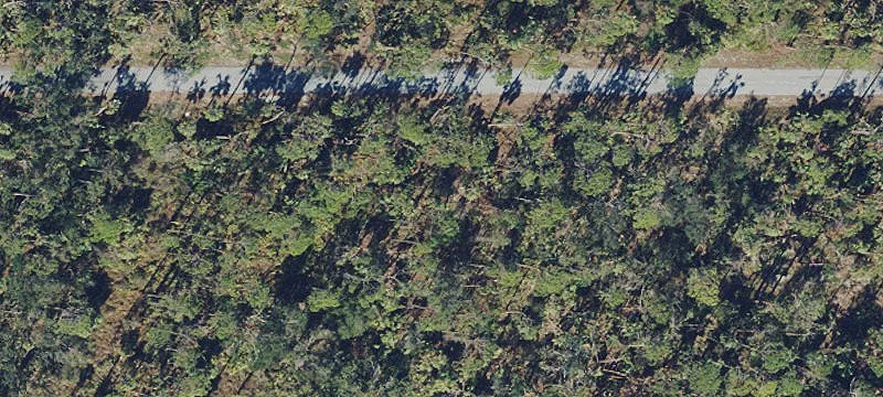 LAND