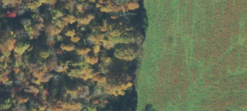 Wooded Waterfront Land Tract