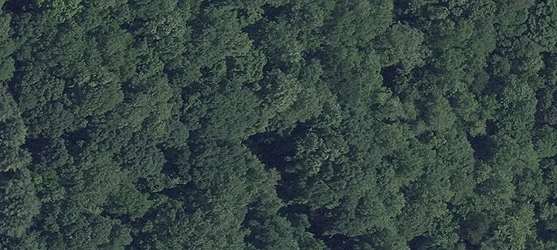 Unimproved Land