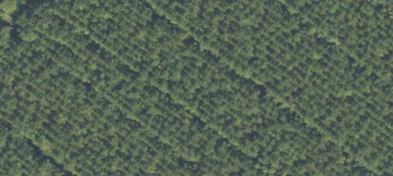 Land or Vacant Lot