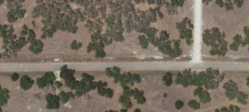 Hunting Land with High-Fenced Sides