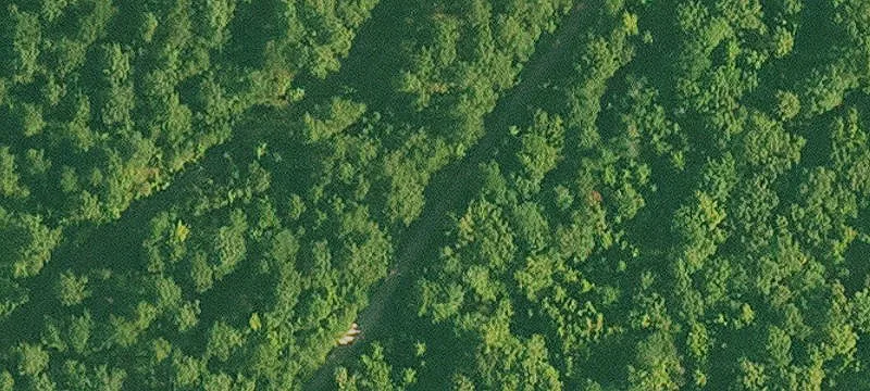 Hilltop Hunting Land Tract