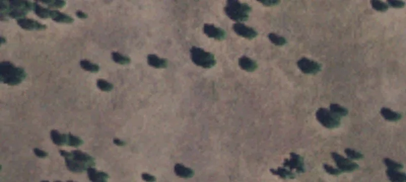 Agricultural Land Parcel