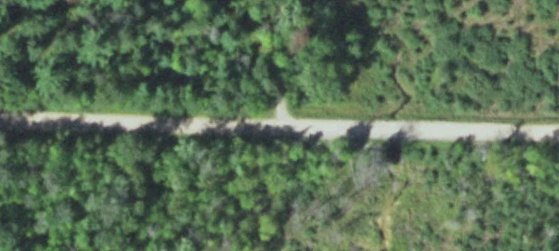 Fully Wooded Hunting Land with Trail Access