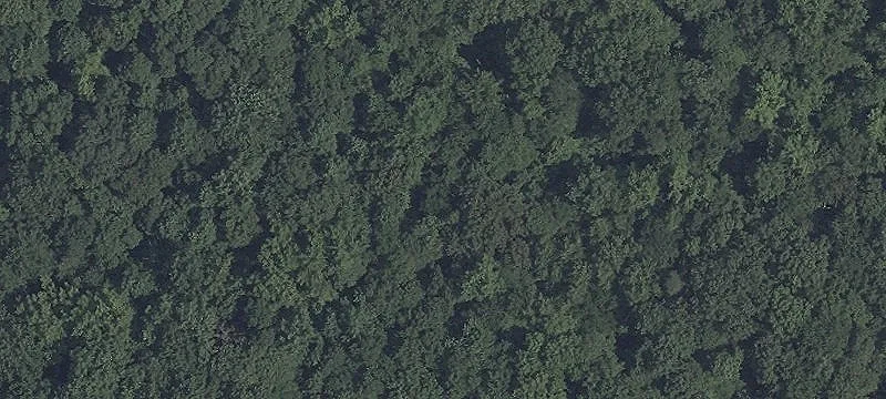 Wooded Hunting Land Building Lot