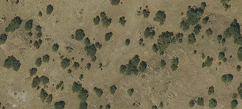 Land