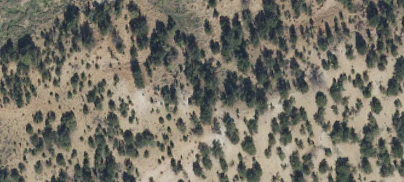 Recreation Land with Mountain Cabin