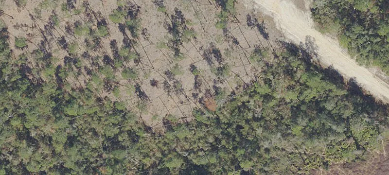 Land