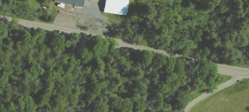 Wooded Hunting Land Parcel