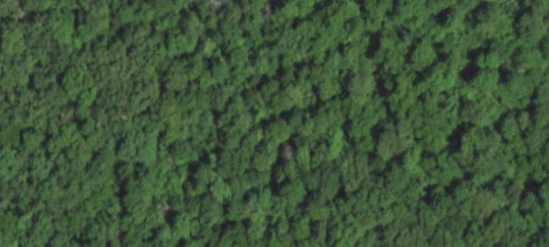 Wooded Hunting Land Parcel