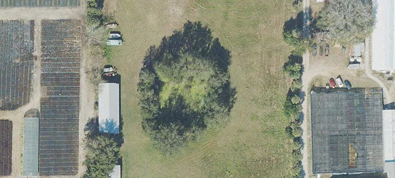 Specialty Property in Lake Avalon Boundary